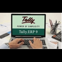 Accountant-Tally9 ERP