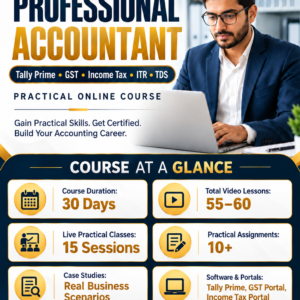 Professional Accountant